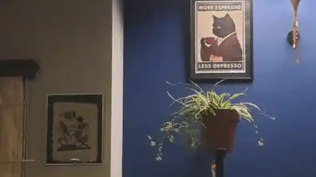 Rare Coffee House