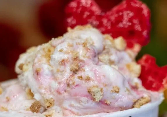 Zebra Gelato - İzmir Mekan Rehberi