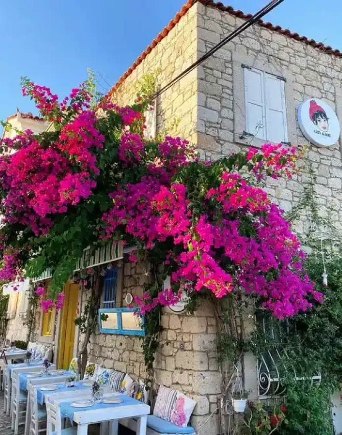 Azize Alaçatı Meyhanesi - İzmir Mekan Rehberi