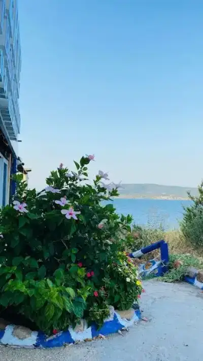 Güverte Restoran - İzmir Mekan Rehberi