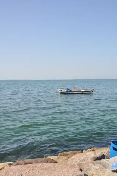 Tunay Restoran Şişede Balık  fotoğraf 5 - İzmir Mekan Rehberi