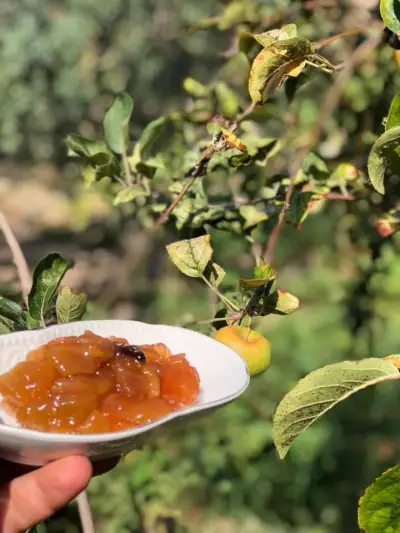 Ağaçlı Ev fotoğraf 7 - İzmir Mekan Rehberi