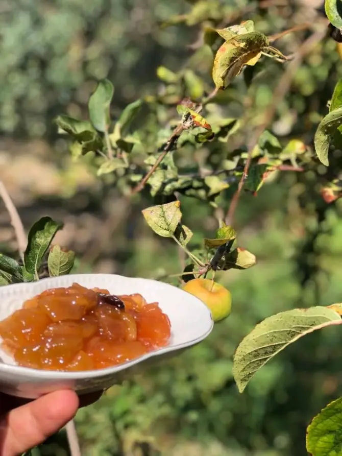 Ağaçlı Ev - İzmir Mekan Rehberi