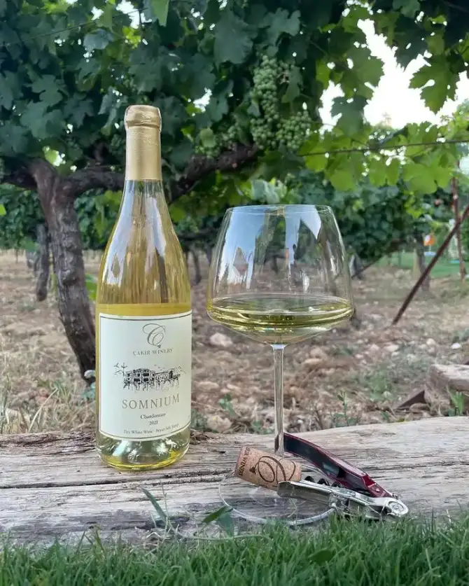 ÇAKIR Winery & Vineyards - İzmir Mekan Rehberi