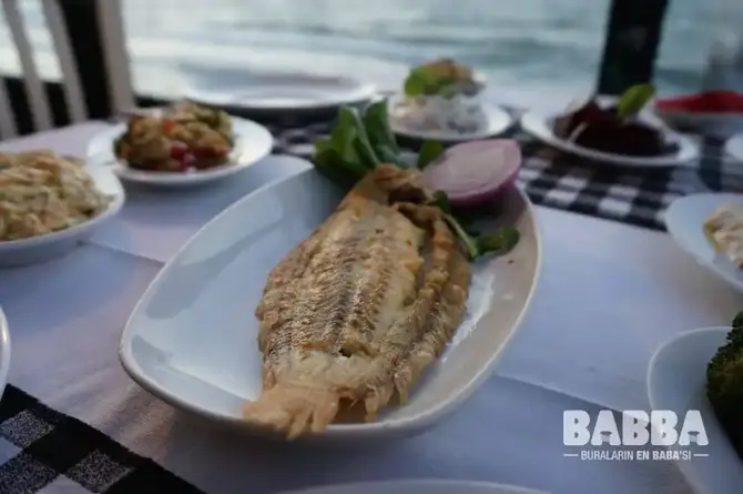 Babba Zeytinalanı - İzmir Mekan Rehberi