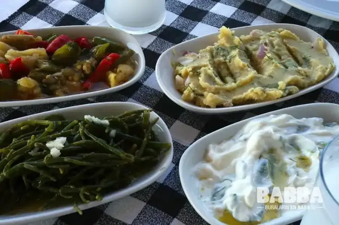 Babba Zeytinalanı - İzmir Mekan Rehberi