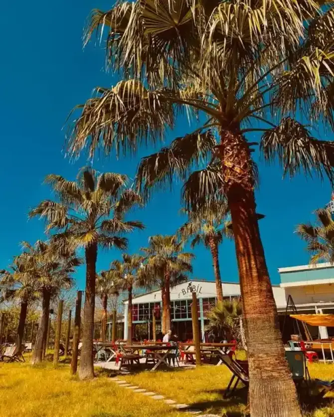 Babil Bira Bahçesi - İzmir Mekan Rehberi