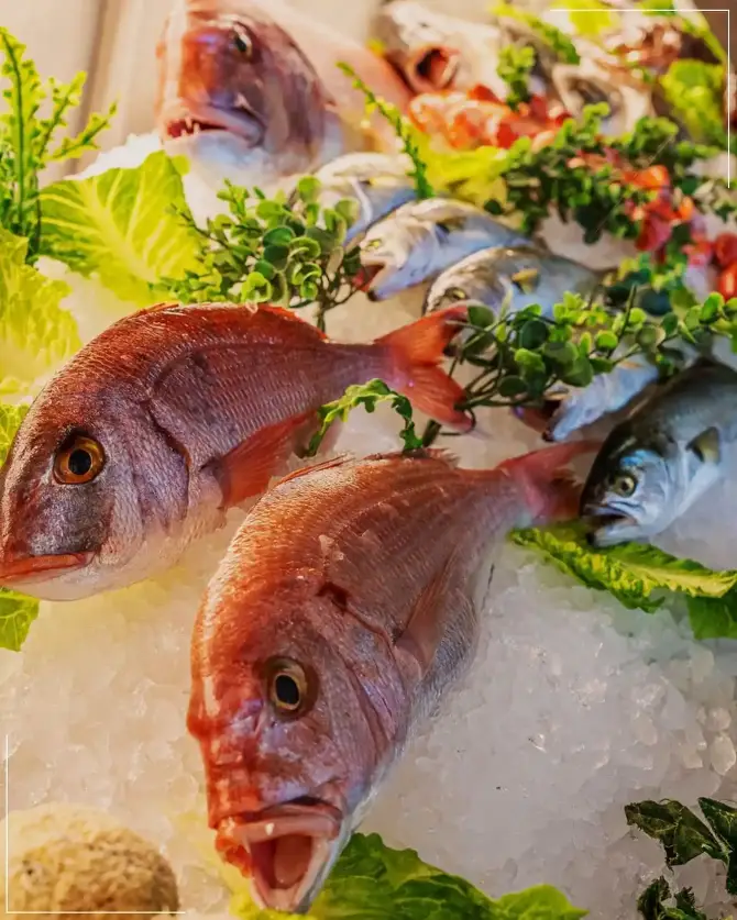 Birinci Kordon Balık Restoran - İzmir Mekan Rehberi