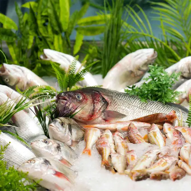 Boğaziçi Restaurant Bostanlı - İzmir Mekan Rehberi