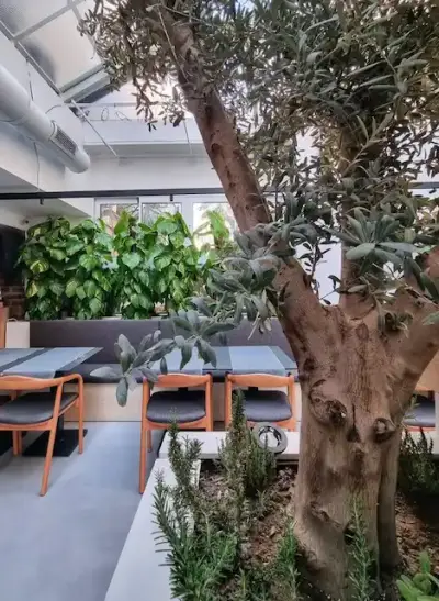 Buke Garni  fotoğraf 2 - İzmir Mekan Rehberi