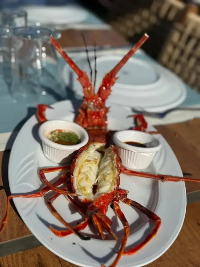 Burç Restaurant Sığacık - İzmir Mekan Rehberi