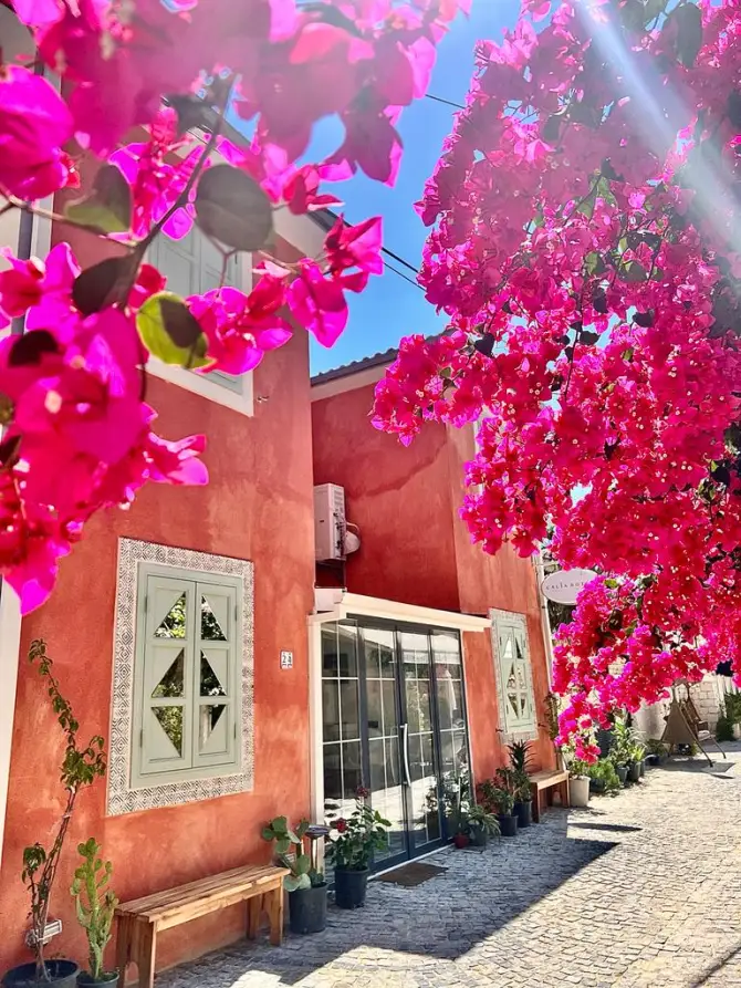 Calia Hotel Köyiçi Alaçatı - İzmir Mekan Rehberi