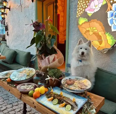 Corazon Alaçatı fotoğraf 5 - İzmir Mekan Rehberi