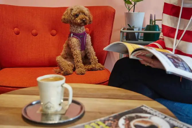 DAFT Coffee - İzmir Mekan Rehberi