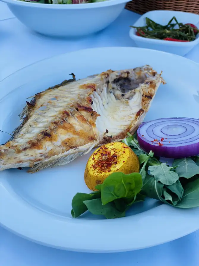 Dalyanköy Balıkçısı - İzmir Mekan Rehberi