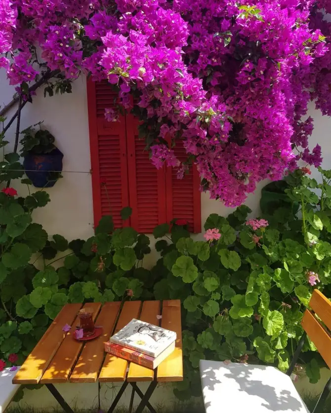 Alaçatı Demlik Kahvaltı&Cafe - İzmir Mekan Rehberi