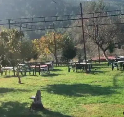 Pia Restaurant fotoğraf 5 - İzmir Mekan Rehberi