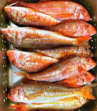 Fish&Steak House - İzmir Mekan Rehberi
