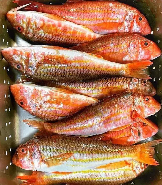 Fish&Steak House - İzmir Mekan Rehberi