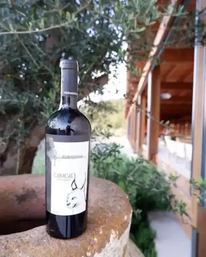 İkidenizarası Winery - İzmir Mekan Rehberi
