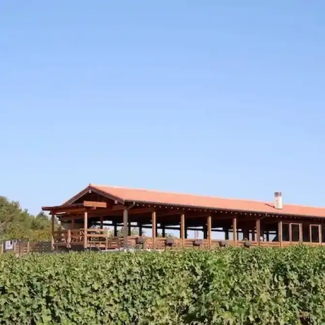 İkidenizarası Winery - İzmir Mekan Rehberi