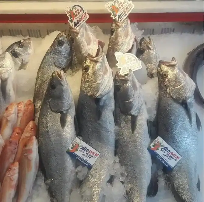 Alo Balık Satış Pişirme ve Meze Evi - İzmir Mekan Rehberi