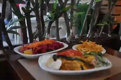 Motto Döner fotoğraf 3