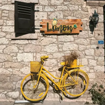 Limon Köyiçi