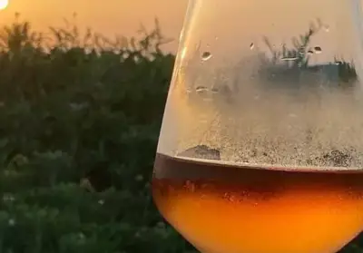Ayda Winery & Vineyards