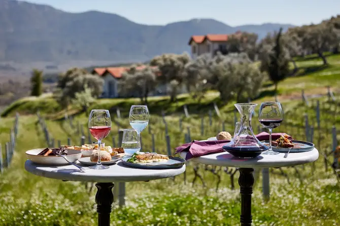 Çiy Restaurant - İzmir Mekan Rehberi