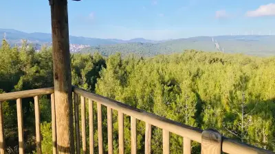 İzmir Şehir Ormanı Çiçekliköy