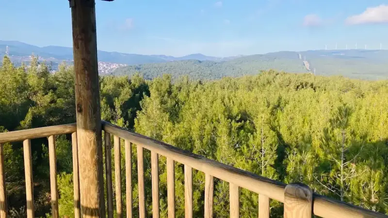 İzmir Şehir Ormanı Çiçekliköy fotoğrafı