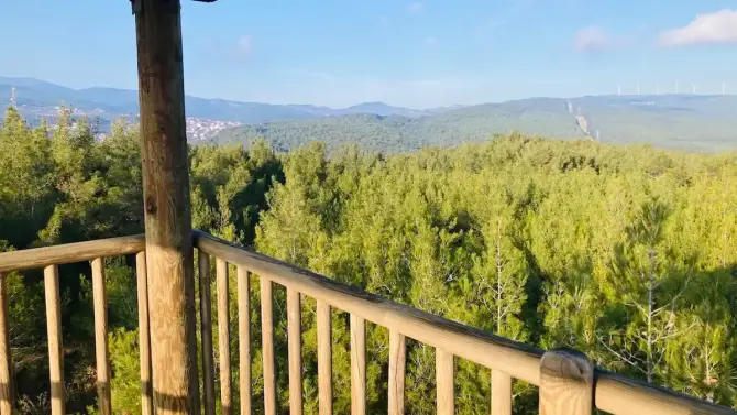 İzmir Şehir Ormanı Çiçekliköy fotoğraf 1