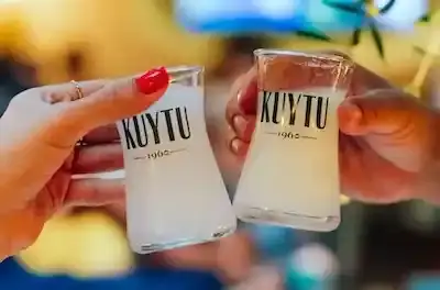 Kuytu 1960