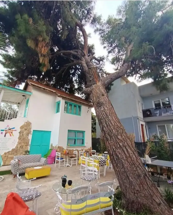 NUNU’s Butik Otel&Cafe - İzmir Mekan Rehberi