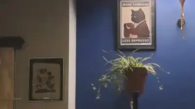 Rare Coffee House