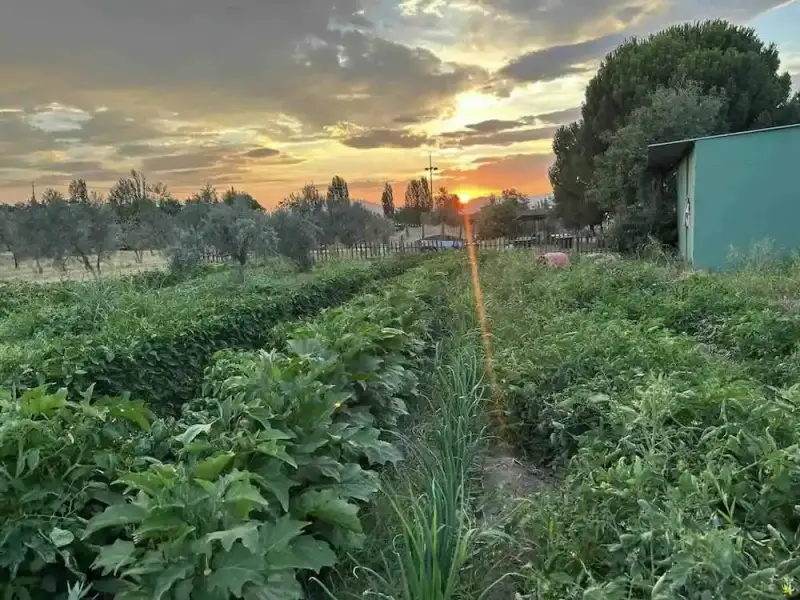 Taşkemer Kahvaltıevi Kınık - İzmir Mekan Rehberi
