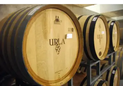 Urla Şarapçılık