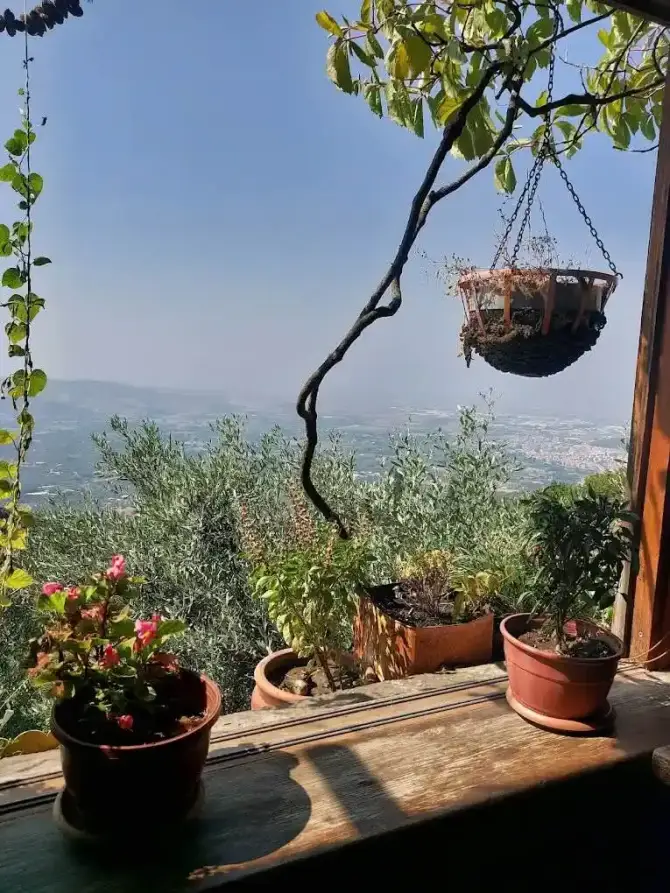 Kaplan Dağ Restoran - İzmir Mekan Rehberi