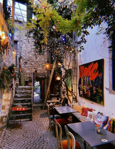 Kırmızı Ardıç Kuşu fotoğraf 3 - İzmir Mekan Rehberi