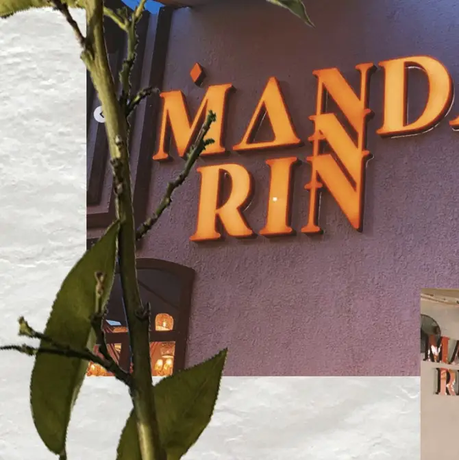 Mandarin İzmir - İzmir Mekan Rehberi