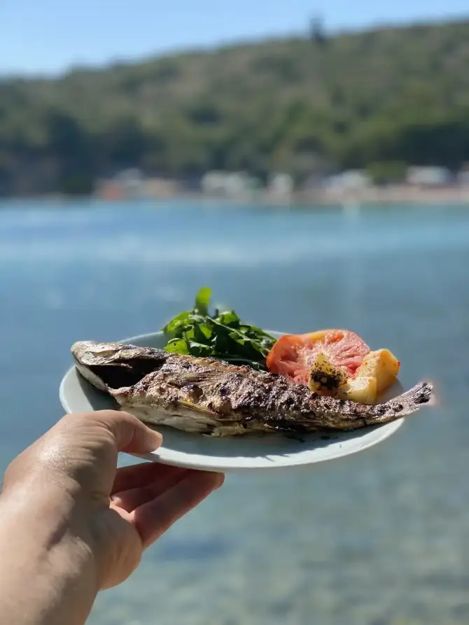 Manzara Restaurant Balıklıova - İzmir Mekan Rehberi