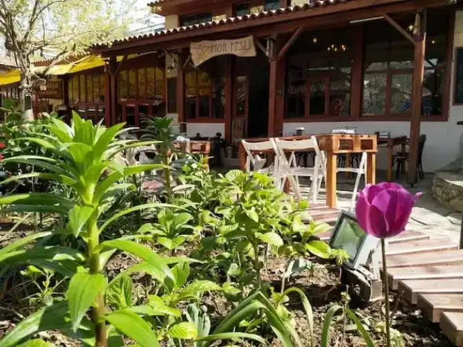 Mor Fesli  - İzmir Mekan Rehberi