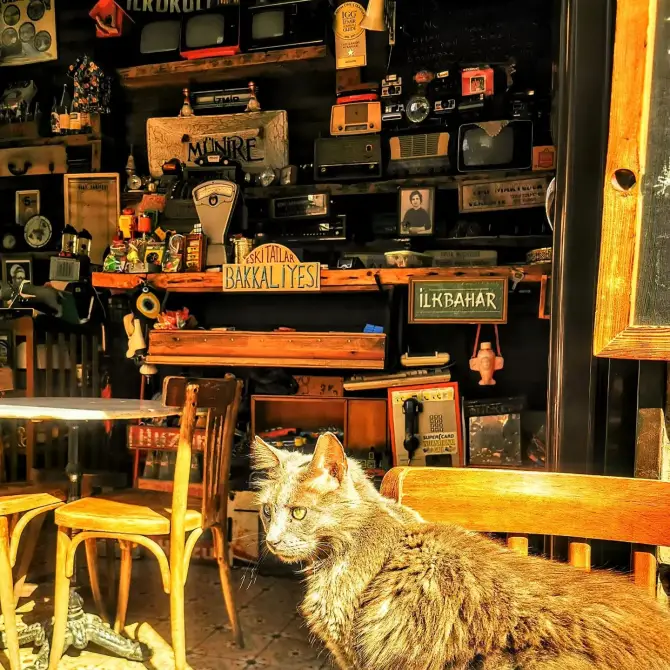 Münire Alsancak  - İzmir Mekan Rehberi