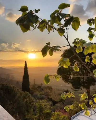 Mutaber Meyhane fotoğraf 4 - İzmir Mekan Rehberi