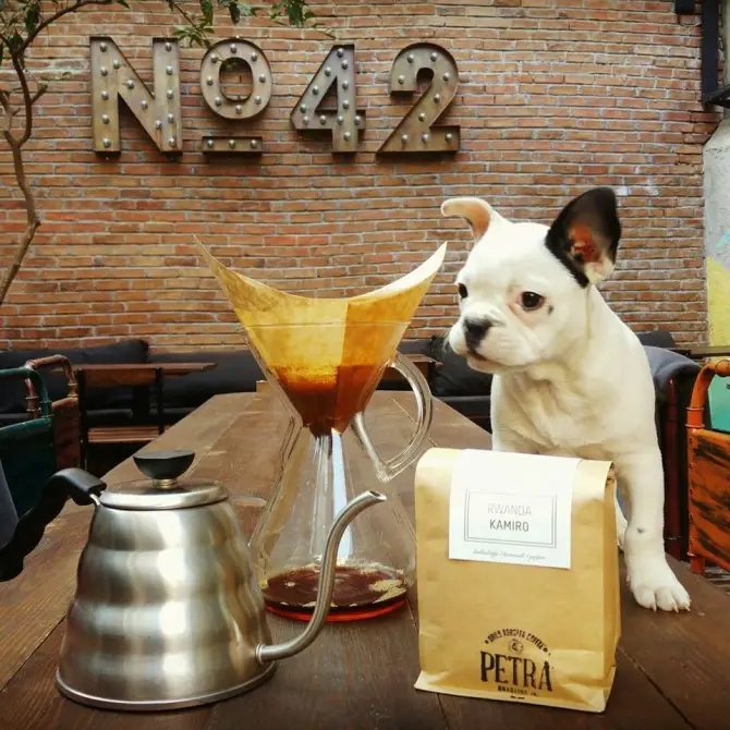 No 42 Alsancak - İzmir Mekan Rehberi
