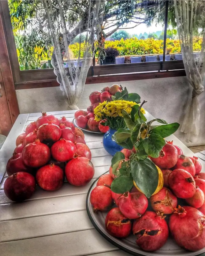 Noni's House - İzmir Mekan Rehberi