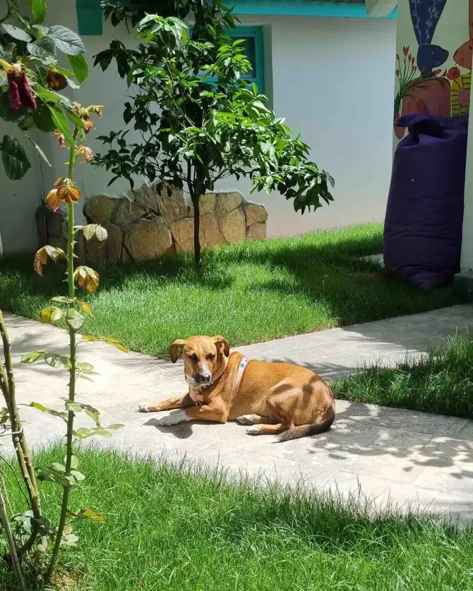 NuNu's Butik Otel - İzmir Mekan Rehberi