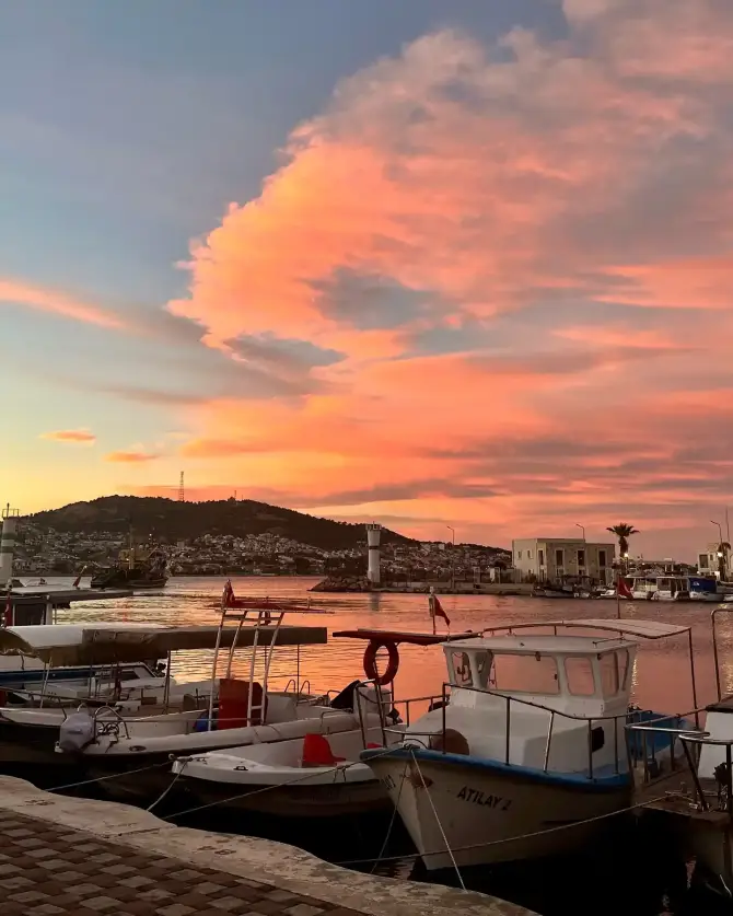 Orfoz Restaurant Yeni Foça - İzmir Mekan Rehberi