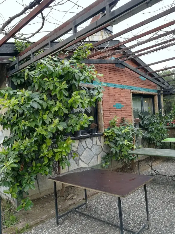 Pino Restaurant - İzmir Mekan Rehberi